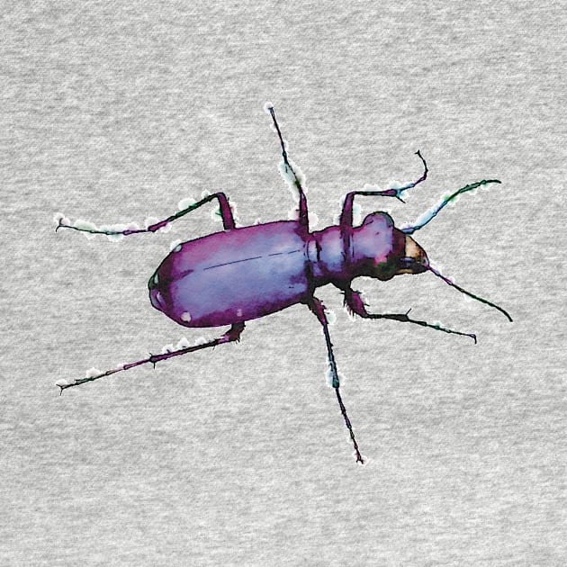 Metallic Purple Tiger Beetle by Griffelkinn